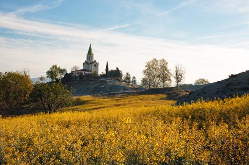 "Santuari" Santuario en una cima rodeado de campos de Colza 