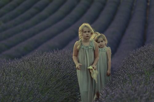 "Entre camps de Lavanda" Dos niñas entre campos de Lavanda al atardecer  